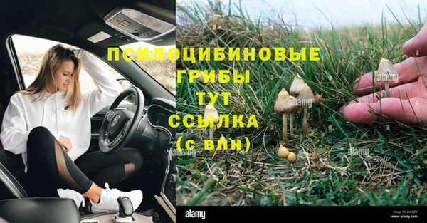 героин Богданович